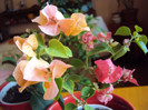 DSC04577