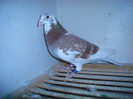 5073801_orig