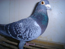 9580158_orig