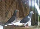 dsc00204