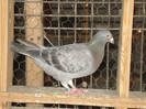DSC02661