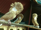 P1130732