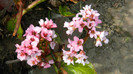 DSCN1095