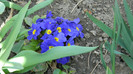DSCN1132