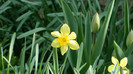 DSCN1144