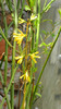 DSCN1147