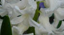 DSCN1169