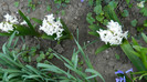 DSCN1170