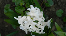 DSCN1171