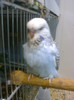 Picture 042