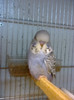 Picture 043