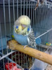 Picture 044