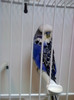Picture 057