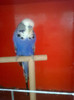 Picture 070