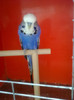 Picture 071