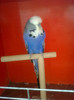 Picture 072