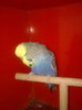 Picture 077