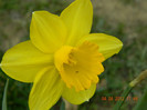 038