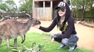 Avril Lavigne- At The Zoo (2011) 337
