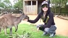 Avril Lavigne- At The Zoo (2011) 338