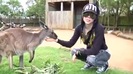 Avril Lavigne- At The Zoo (2011) 339