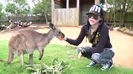 Avril Lavigne- At The Zoo (2011) 343