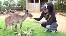 Avril Lavigne- At The Zoo (2011) 349
