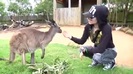 Avril Lavigne- At The Zoo (2011) 355