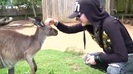 Avril Lavigne- At The Zoo (2011) 361