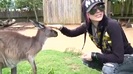 Avril Lavigne- At The Zoo (2011) 363
