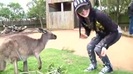 Avril Lavigne- At The Zoo (2011) 366
