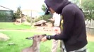 Avril Lavigne- At The Zoo (2011) 371