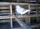 P02-04-12_16.47[3]