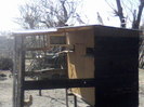 P03-04-12_13.00[1]