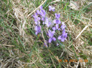 DSCN0350