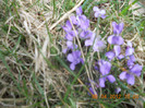 DSCN0351
