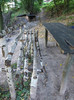 Bodia 9 septembrie 2006 (49)