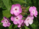 DSCF0128