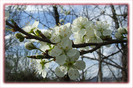 DSCF0176