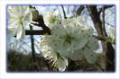DSCF0177
