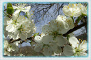 DSCF0179