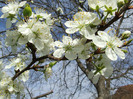 DSCF0181