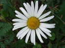DSCF0186
