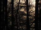 DSCF0192