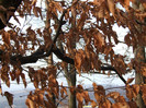 DSCF0202