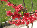 DSCF0225