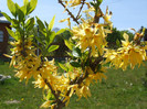 DSCF0245