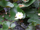 DSCF3604