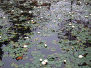 DSCF3610