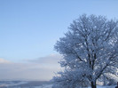 DSCF3715